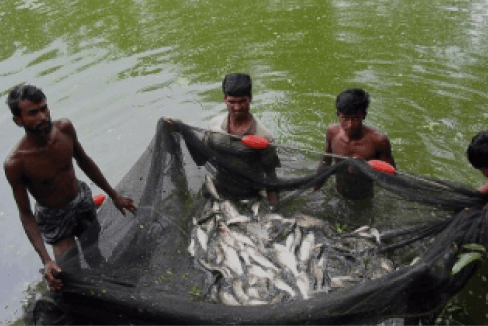 Modern aquaculture fish farming operation