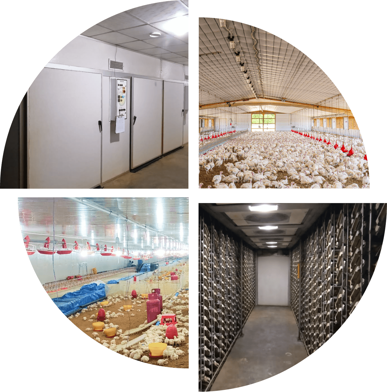 Hatchery facility operations collage