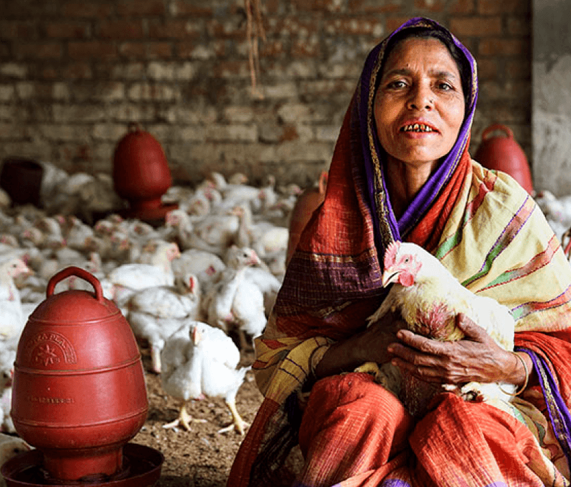 Poultry farmer testimonial