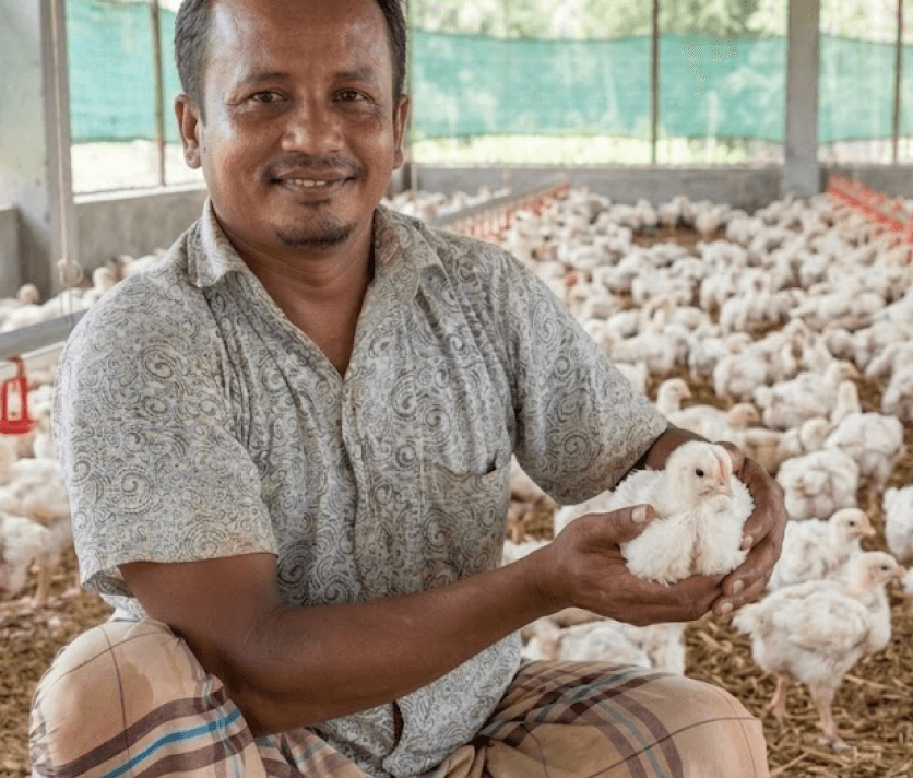 Poultry farmer testimonial