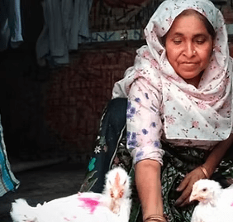 Poultry farmer testimonial